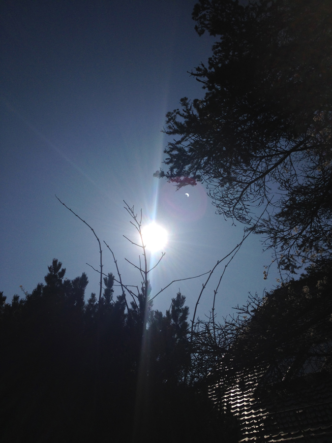 Die Verfinsterung hat begonnen. Die Spiegelung könnt Ihr rechts oben über der Sonne sehen, kurz vor den Zweigen.