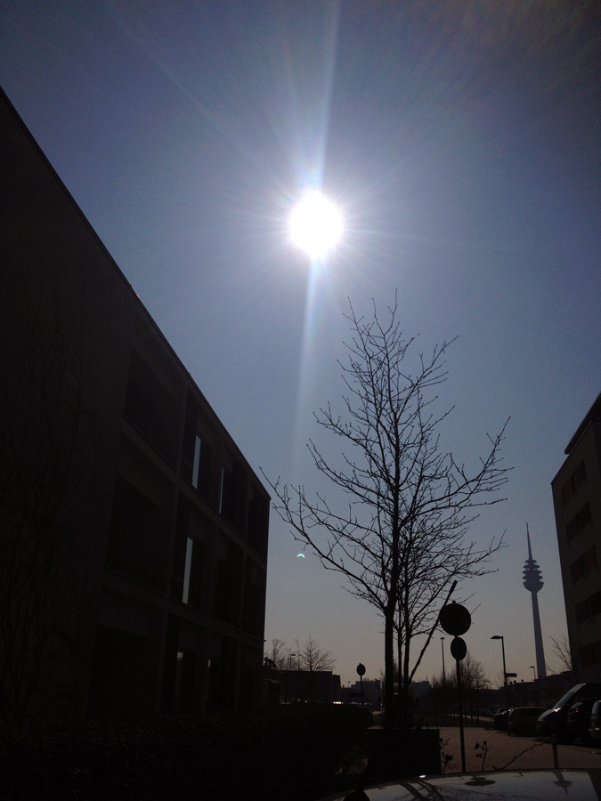 Der Höhepunkt der partiellen Sonnenfinsternis. Ein wenig lassen sich vielleicht die Stimmung und die Lichtverhältnisse erahnen. Das Spiegelbild der Sonnenfinsternis seht Ihr zwischen Baum und Haus. © Siat
